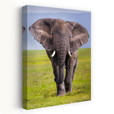 Portrait Of Majestic African Elephant On Savannah, Ngorongoro Conservation Area, Tanzania, Africa Abstract Contemporary Landscape Nature Wall Art
