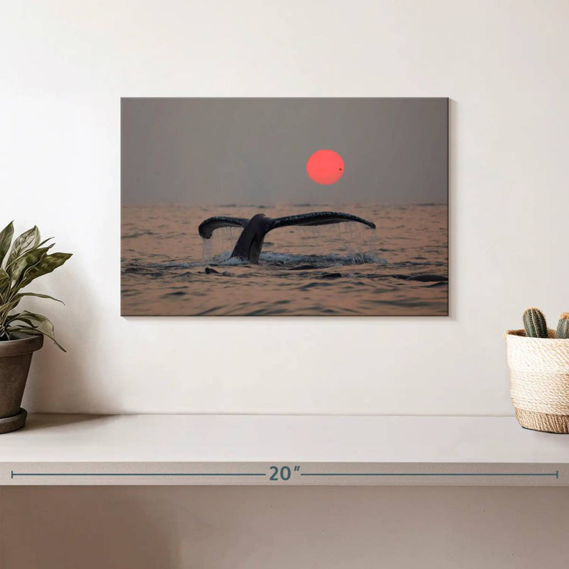 Brampt Humpback Whale Tail, 8" H x 12" W