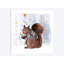 « confortables superficie ii », impression sur toile-32563470-72141612-72141613
