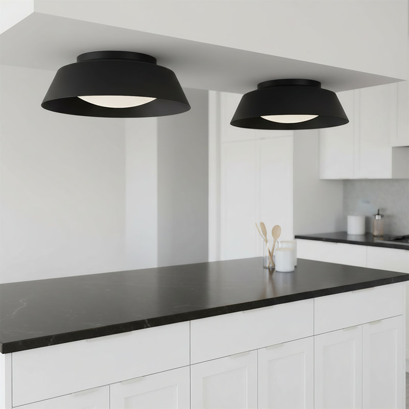 Plafonnier à DEL noir de 15 pouces avec 5 températures de couleur, avec un diffuseur en verre blanc gravé qui convient à une utilisation à l'intérieur.