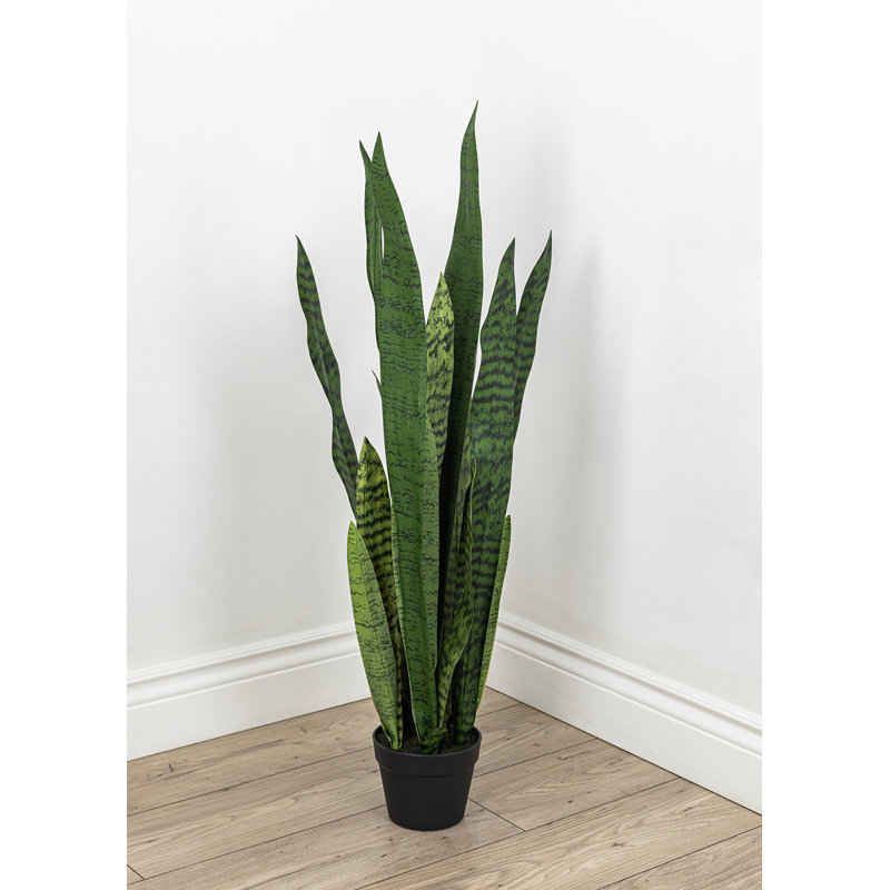 Fausse plante dracéna en pot Rummond, Vert, H 42 po x l 16 po x P 16 po