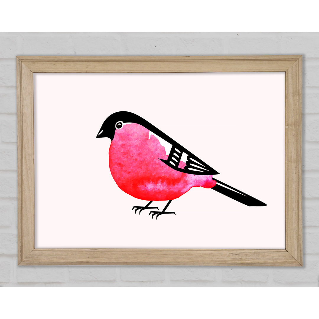 Gerahmtes Bild Pink Robin Breast