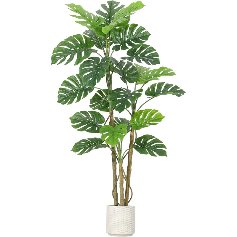 180cm Plant