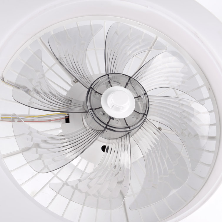 Hemion 19.6" RGB Ceiling Fan with Led Lights and Remote Control