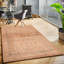 Pieternel Oriental Area Rug in Brown