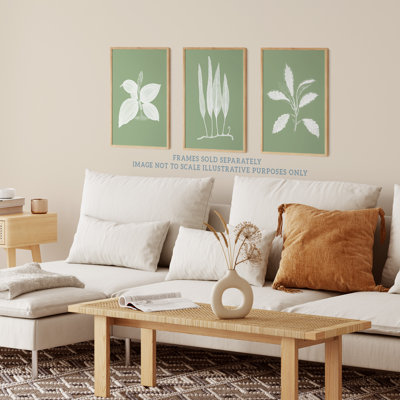 Sage Green Tree Plant Detailed Foliage Xray Imprint Monochrome Botanical - 3 Piece No Frame Print Set