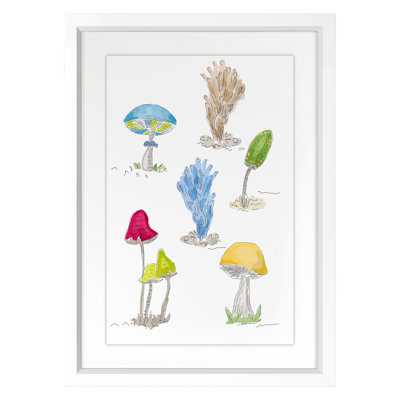 Mushrooms 1 Print by Dana Gibson