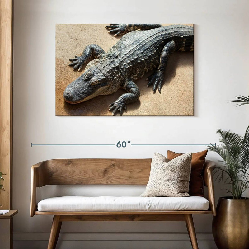 Alligator, 30" H x 45" W