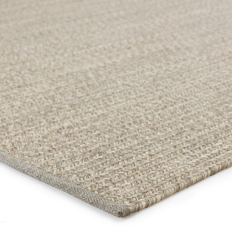 Antonica Indoor / Outdoor Rug, Rectangle 2' x 3'