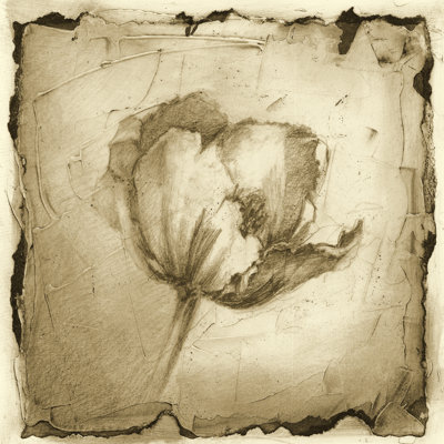 Floral Impression IV by Ethan Harper - Wrapped Canvas Art Prints