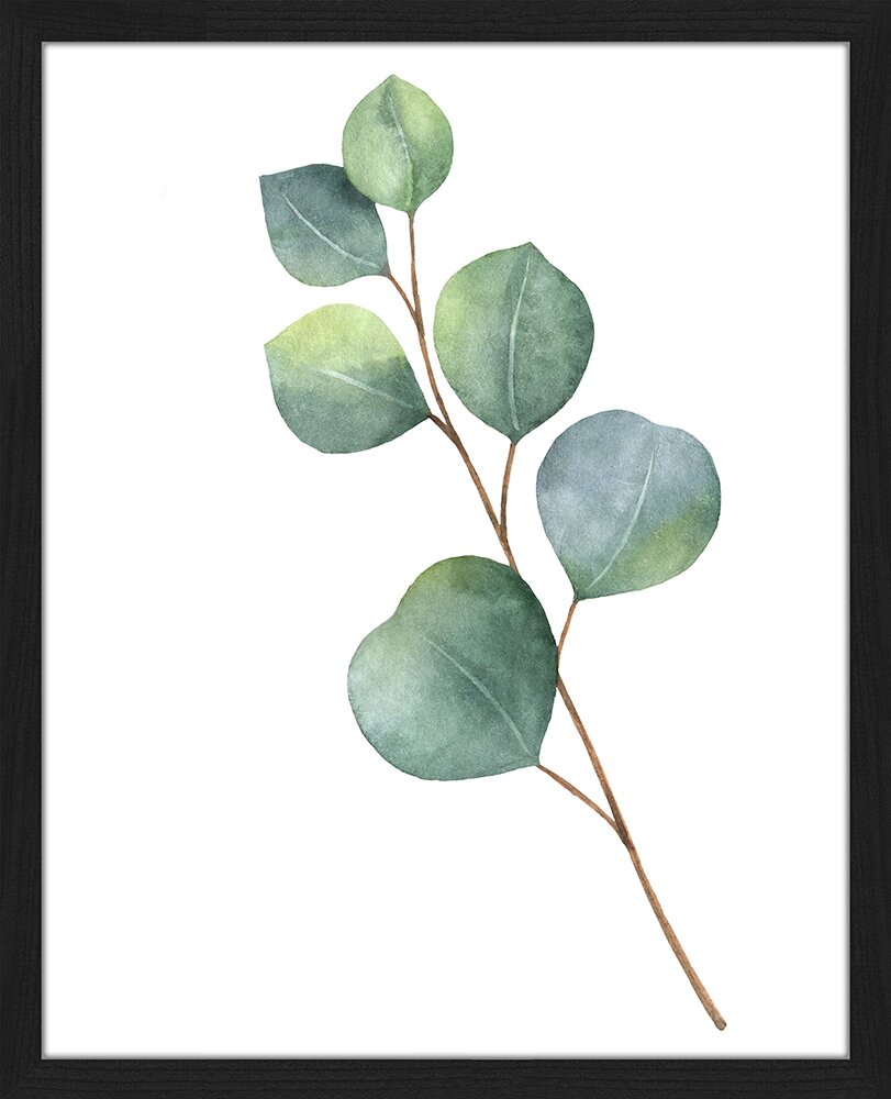 Gerahmtes Papierbild - Grafikdruck „Eucalyptus”