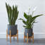 Lisbon Indoor Plant Pot with Wooden Stand-245950884-245950888