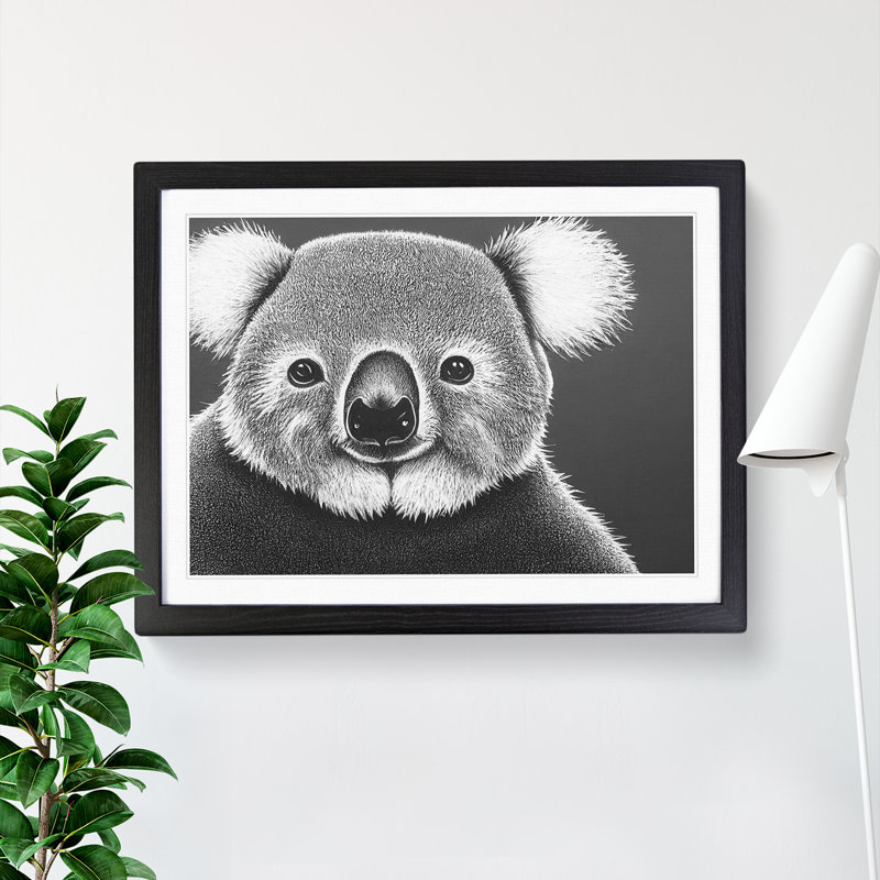 Koala Bear - Framed Print, Black Framed, 46cm H x 64cm W