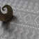 Onley Moroccan Shag Area Rug