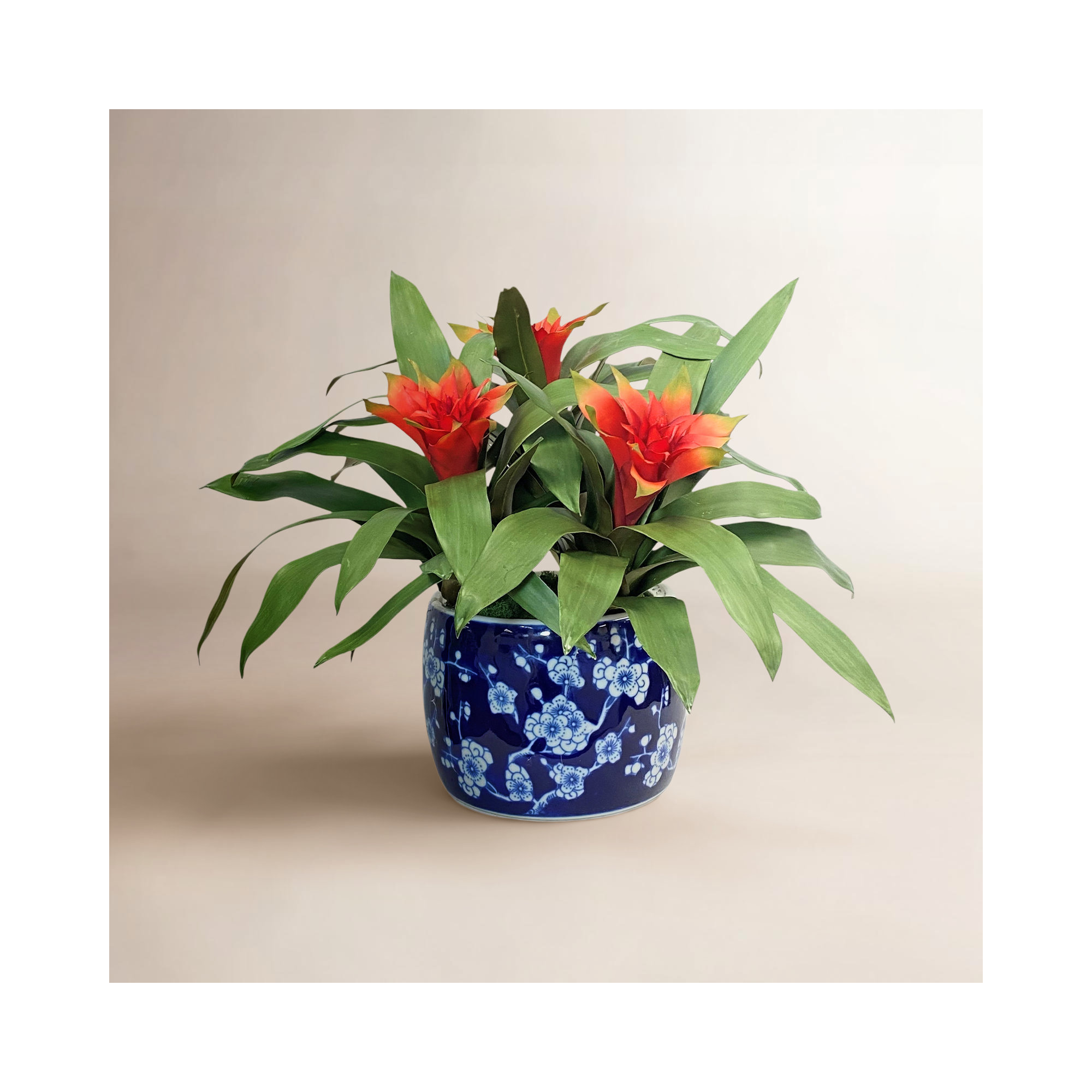 Arrangement in Vase, 14" H x 18" H x 18" D, Orange
