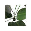 164cm Faux Strelitzia Plant in Planter