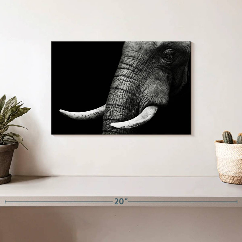 Brampt Elephant Close Up, 8" H x 12" W