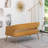 Chynna 51.2'' Velvet Loveseat-1761889364