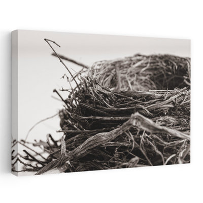 Preparing II - Contemporary Birds Nest Black And White Nest Art