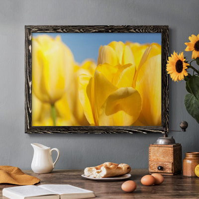 Sunshine Yellow I, reproduction d'art sur toile