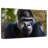 Crowle Mountain Gorilla-111884927