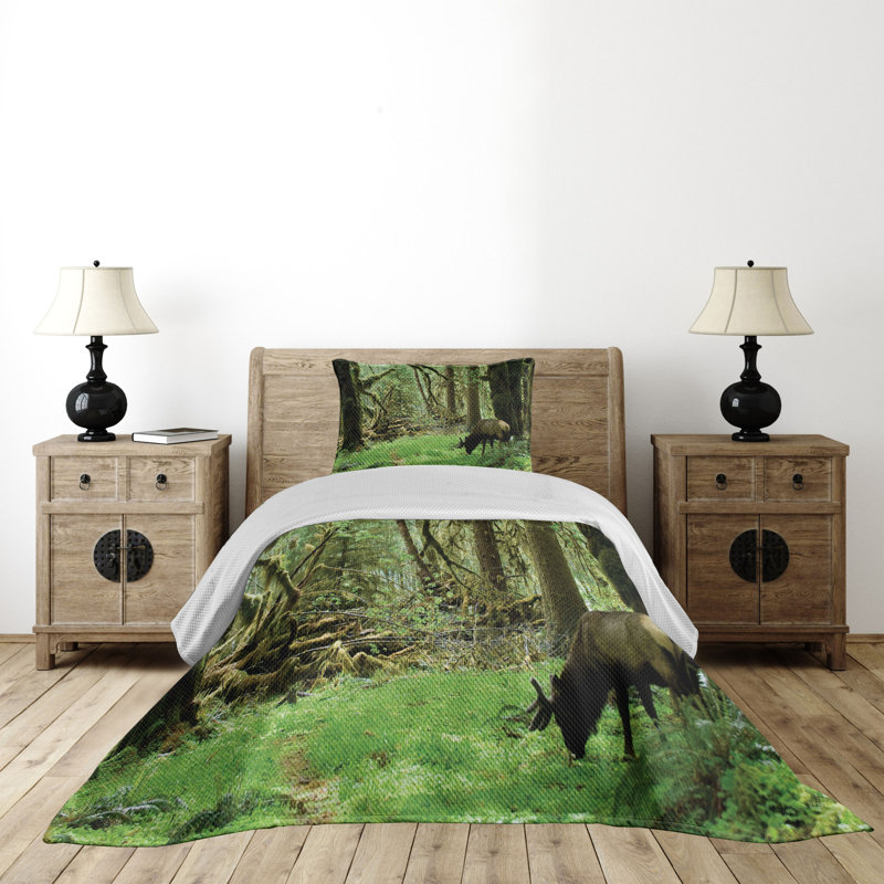 Forest Green Quilted Queen Bedspread Set with Shams