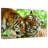 Brampt Loving Tigers-108953944