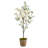 Cherry Blossom Tree in Farmhouse Planter