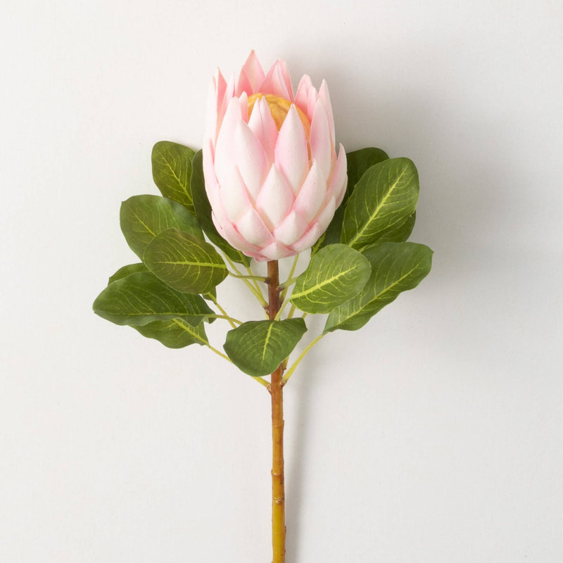 Protea Arrangement