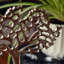 Sculpture de table arbre de vie