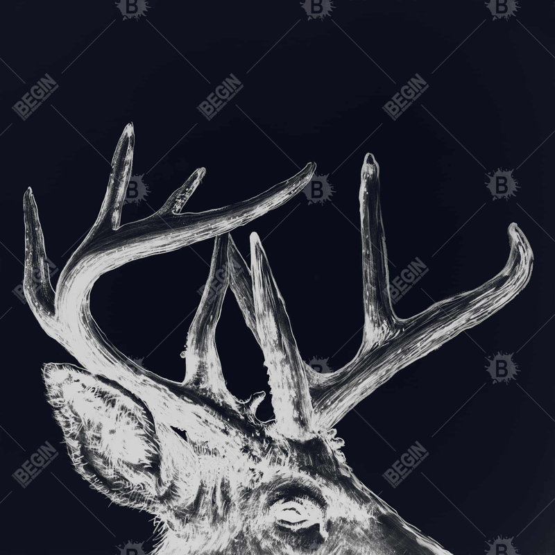 " Blue Roe Deer Plume "