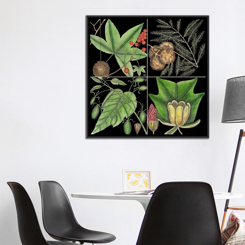 « botanique grid iii », reproduction d’impression sur toile, H 18 po x l 18 po x P 1,5 po, Toile avec cadre noir