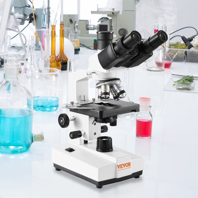 Trinocular Microscope Manipulatives
