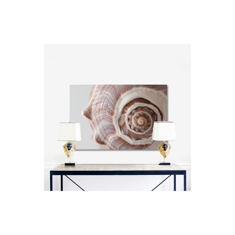 Sea Shell Print, 40" H x 60" W x 1.5" D