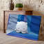 Reproduction d'art sur toile, "Mignon"-25210357