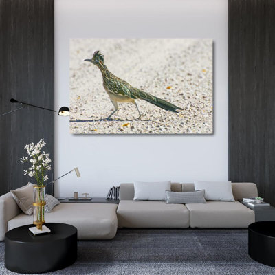 Latitude Run® Lord, Fred Gallery Wrapped Canvas Art Titled: New Mexico Greater roadrunner crossing road US32 BJA0086