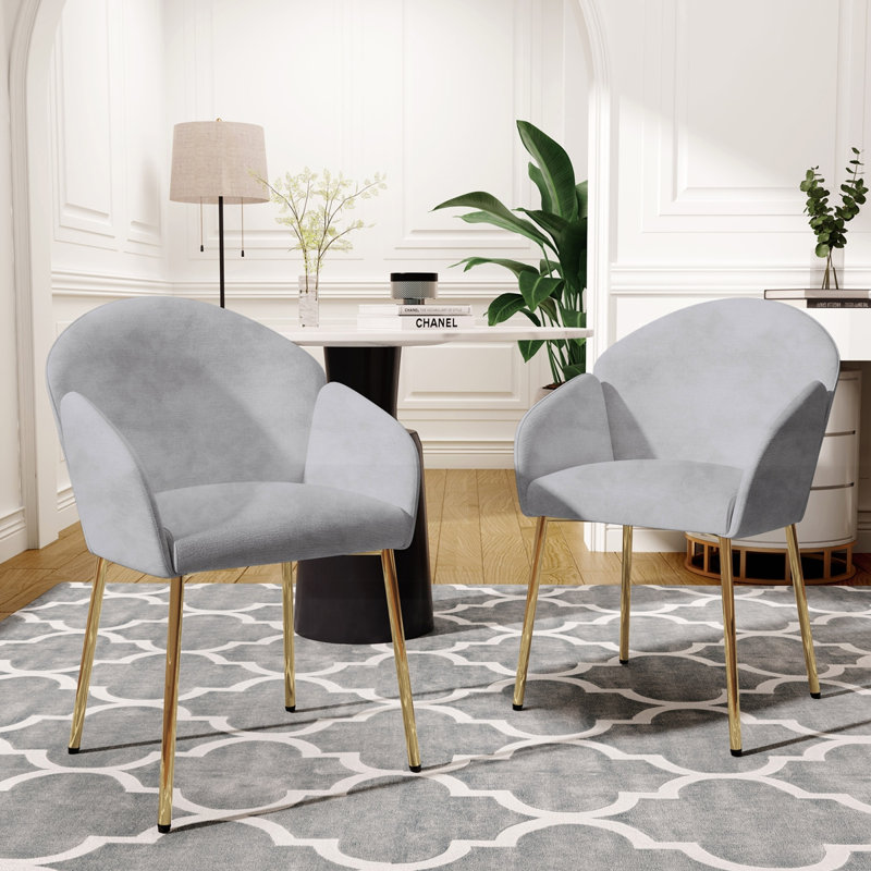 Ensemble de 2 chaises de salle à manger