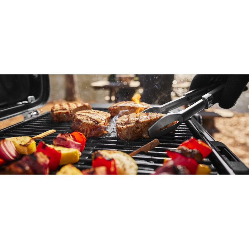 Weber Traveler Compact Portable Gas Grill