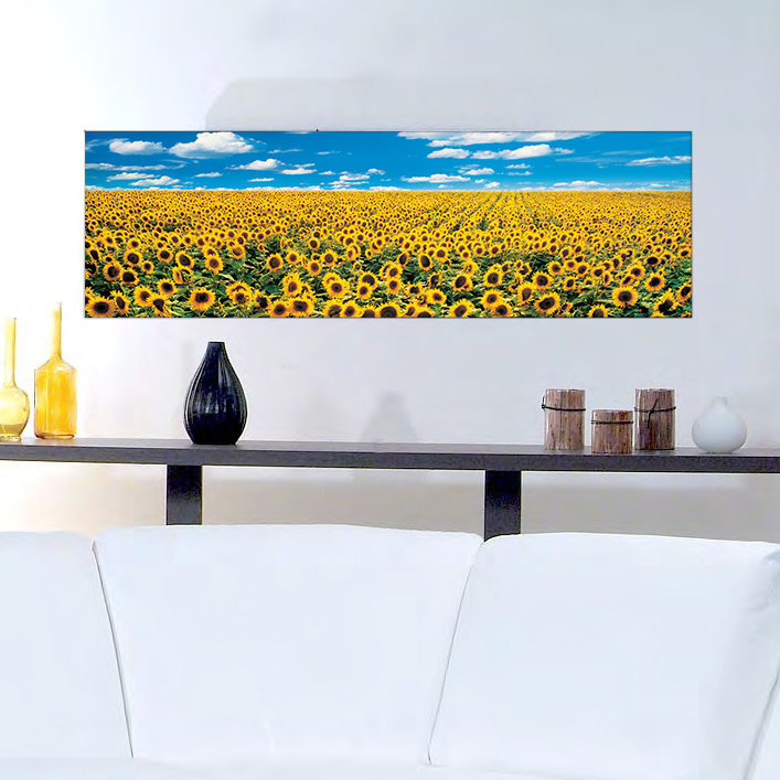 Panoramic Print on Wood