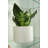 Martha Handmade Ceramic Pot Planter-1312117863