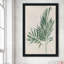 Palmier botanique IV - Peinture-677903366-677903390