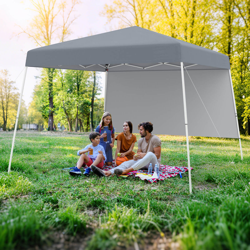 Tente d'auvent 10 x 10 pi avec 1 paroi latérale, sac à dos portable, 4 pieds inclinés , Gris