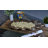 Red Barrel Studio® Aluminum Tray-1966196748