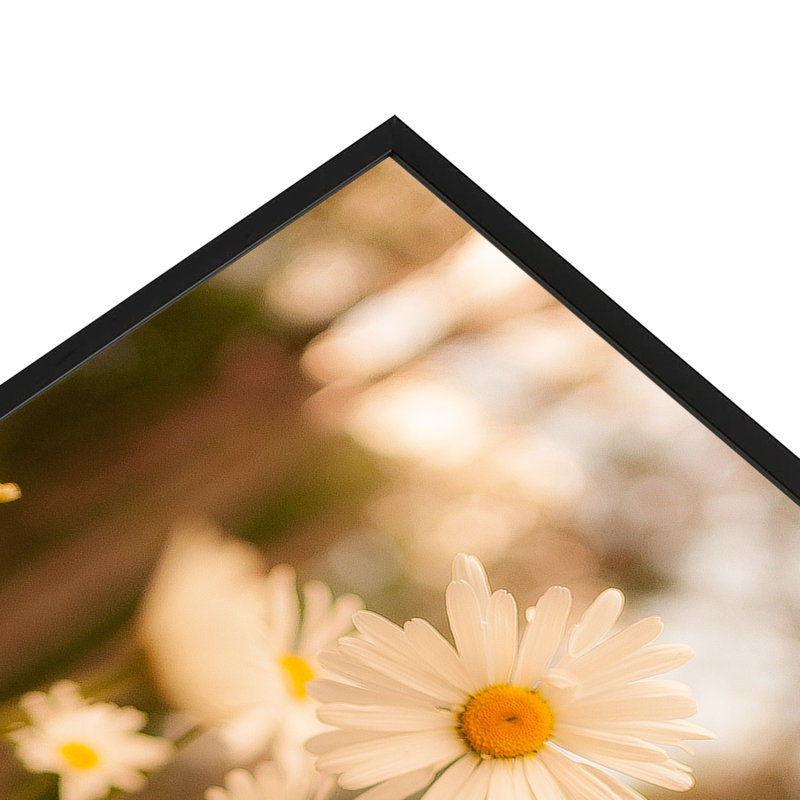 Ayden Metal Poster Picture Frame  with Real Glass, 24" H x 20" W x 1.81" D, Black
