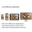 Cedarburg-774571018