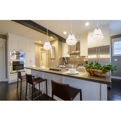 Bashaw 1-Light Dimmable Schoolhouse Pendant