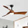 Kemp 52'' 3 - Blade Classic Propeller Ceiling Fan with Remote Control and LED Light Kit Included