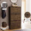 18 Pair Flip Down Shoe Storage-1735642681