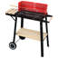 19" Charcoal Grill with Side Shelve
