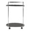 Santibanez Bar Cart-1866859706